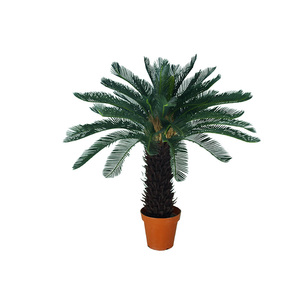 Planta Cycas de fibra de vidrio <span class=keywords><strong>para</strong></span> exteriores Árboles y <span class=keywords><strong>plantas</strong></span> <span class=keywords><strong>artificiales</strong></span> <span class=keywords><strong>para</strong></span> uso decorativo - Product Image 3