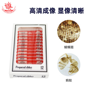 <b>Microscope</b> specimens, plastic, English and Chinese text, red observation cell specimens, 12 insect biological slides, specimen - Product Image 3