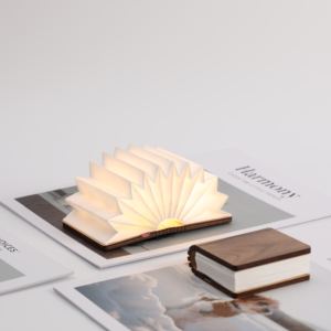 Autocollant de réfrigérateur lumineux pliable souvenir créatif 2026, cadeau du Nouvel An, style chinois, produits culturels d'entreprise, petit cadeau - Product Image 6