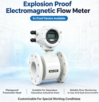 Medidor de Flujo Electromagnético a Prueba de Explosiones Dn10~DN300 Ex d II CT6 4~20mA RS485 Medidor de Flujo de Agua y Aceite para la Industria Química