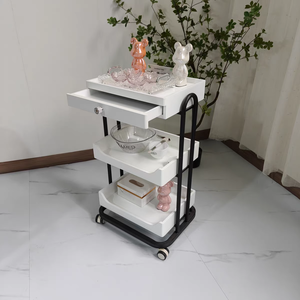 Chariot <span class=keywords><strong>de</strong></span> salon moderne en métal pour salons <span class=keywords><strong>de</strong></span> manucure et salons <span class=keywords><strong>de</strong></span> <span class=keywords><strong>coiffure</strong></span> Garantie <span class=keywords><strong>de</strong></span> 8 ans Outil <span class=keywords><strong>de</strong></span> stockage pour studios <span class=keywords><strong>de</strong></span> <span class=keywords><strong>coiffure</strong></span> - Product Image 6