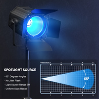 200W COB Par Lights Spots RGBWA UV 6in1 DMX512 DJ Lights pour scène Party Concert Église Mariage Théâtre Par Lights