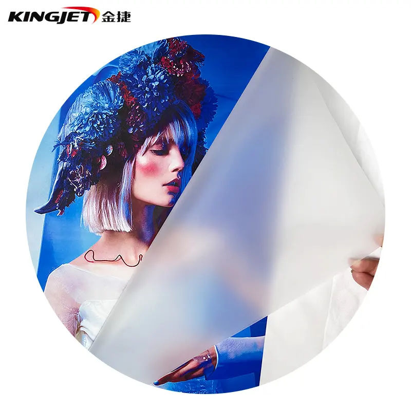 KINGJET Mini A2 A3 A4 Máy In DTF Cuộn Phim Thú Cưng 40Cm 60Cm Kỹ Thuật Số DTF Cho Áo Phông Có 2 Đầu In