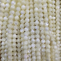 Fil de perles naturelles en nacre blanche naturelle, vente en gros, avec coquille de 4mm 6mm 8mm 10mm 12mm, vente en gros