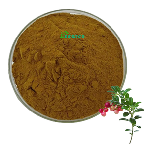 Extrait de plante d'approvisionnement d'usine <span class=keywords><strong>Arctostaphylos</strong></span> uva poudre d'extrait de feuille d'ursi poudre d'extrait de feuille de busserole naturelle 4:1 10:1 - Product Image 1
