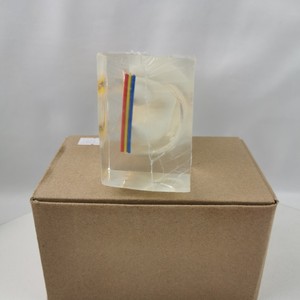 Modèle anatomique en résine du nerf dentaire à six plis M7023 pour l'enseignement dentaire - Product Image 1