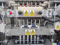 Machine d'emballage automatique Foison 6 lignes pour le remplissage et le scellage de liquides et de pâtes, avec ensacheuse dorsale pour bain de bouche et dentifrice