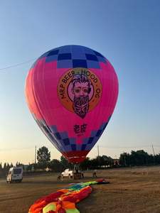 <span class=keywords><strong>Ballon</strong></span> à air chaud en Nomex en forme d'extraterrestre Zhongsheng ZS-7 21m X 17m Gonflable Mixte Couleurs Utilisation en extérieur - Product Image 3