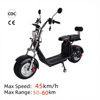 Scooter électrique Citycoco HR5 2000W 60V 12Ah avec batterie au lithium, deux roues, étanche et démarrage/arrêt
