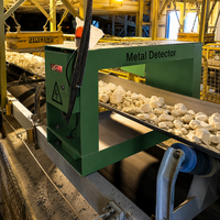 Détecteur de métaux de type fenêtre pour l'exploitation minière, usine source pour la protection des usines de ciment et de charbon, haute qualité, sur mesure