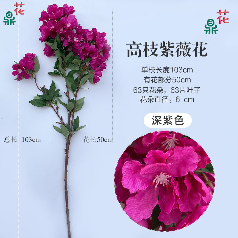 ดอกสีม่วงขนาดใหญ่ ก้านสูง สีม่วงเข้ม