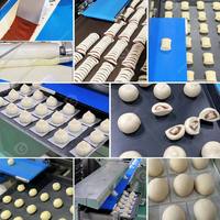 Ligne de production automatique haut de gamme pour la fabrication de dim sum, de burgers, de pains vapeur et de mantou