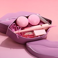 Kit de rouge à lèvres végétalien 5-en-1 marque privée à base de plantes imperméable à l'eau mat crayon à lèvres combinaison brillant à lèvres effet hydratant
