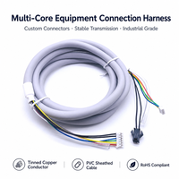 Câble personnalisé avec pas de 1,0 mm à 2,54 mm et connecteur à 2/3/4/5/6 broches, fil électrique et fiche femelle JST SH ZH PH XH pour l'électronique