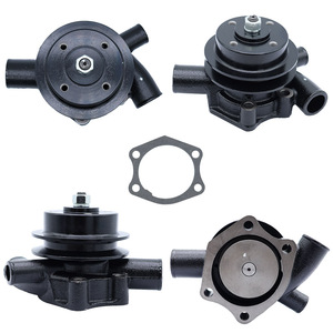Bomba de Agua Cw para Maquinaria Agrícola Massey Ferguson IMT-533 3E60484, Pieza de Repuesto - Product Image 4