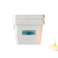 Kits de fabrication de bougies parfumées en cire de soja de luxe, avec mèche en cire de perle de sable, boîte, pot, pour les débutants en entreprise, les enfants