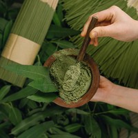 Encens d'aromathérapie de haute qualité 100% naturel et écologique, fabriqué à partir de feuilles d'eucalyptus, vente en gros, services OEM/ODM disponibles