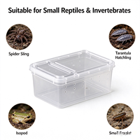 Boîte à reptiles ventilée en plastique PP 15x10x6,5 cm, empilable, pour araignées, tarantules, jeunes isopodes, vente en gros