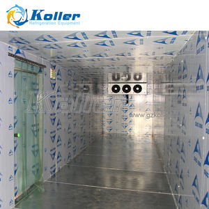 Koller बुएना Calidad Camara Frigorifica, Maquinas पैरा Hacer Hielo VCR10 पैरा लातीनी अमेरिका - Product Image 6