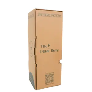 Бесплатная дизайнерская упаковка для суккулентов, картонная коробка для транспортировки растений