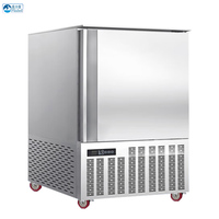 Congélateur rapide Flishel à 5 plateaux, petite taille, porte simple, réfrigérateur commercial portable, automatique, en acier inoxydable, neuf, pour aliments surgelés