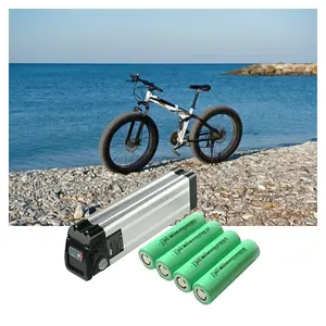 Miglior 10ah 13ah 15ah 20ah 25ah 1000w 36v 48v 24v litio hailong ion bafang e bike bike per bici elettriche batteria ebike