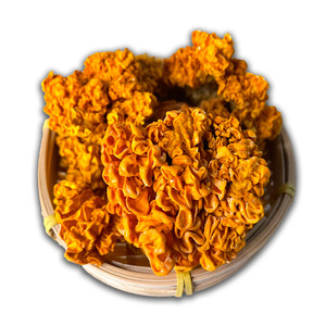 <span class=keywords><strong>Champignons</strong></span> Golden Ear en bois de tilleul, spécialité du Yunnan, provenant des montagnes profondes, jaunes, lyophilisés/séchés, 1 kg, produits agricoles comestibles - Product Image 6