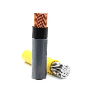 Nylon Cable Stranded THHN-2 Type Copper Cable Awg 4 6 8 10 12 14 16 PVC Insulated THWN/THHN Electrical Wires