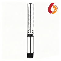 Pompe submersible solaire AC à grand débit de 6 pouces pour puits profond, pompe à eau de forage à haute pression pour l'extraction d'eau agricole