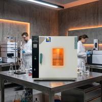 Equipo de Horno Eléctrico Vertical de Cámara con Control de Temperatura de 2 Grados Celsius y Ventilador de la Marca HZ