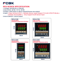 Controlador de Temperatura PID Rex-C100 FCGK en Oferta ° Salida SSR/Relé de Resolución C con 3 Años de Garantía para Horno Industrial