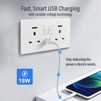 Prise murale double 13A UK Jinmai 146 avec ports USB Type-C, voyant lumineux, étanche IP44, ignifuge, en matériau PC pour maison et hôtel