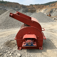 Concasseur à marteaux direct usine, vente de concasseurs à marteaux, mini concasseur à marteaux pour pierre, tête de concasseur à marteaux 250x400