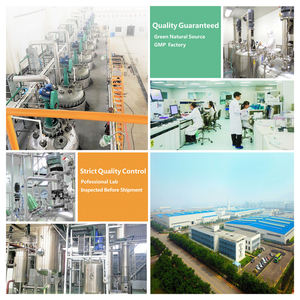 天然木キトサンオリゴ糖ナノキトサン粉末水溶性キトサン - Product Image 6