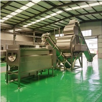 Hoge Productiviteit Automatische Stoompeeling Zoete Aardappel Papaja Taro Wortel Tomaat Stoomschilmachine