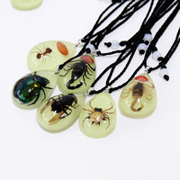 Collier en résine transparente tendance qui brille dans le noir, insecte naturel, ambre