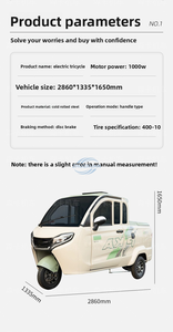 3-Wheel Electric <b>Passenger</b> & Cargo Tricycle, <b>2</b> Seater 200-300kg Capacity - Product Image 3