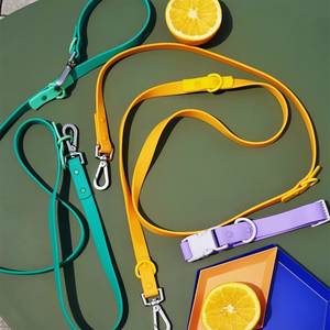 Collier et laisse pour chien en PVC avec logo personnalisé ensemble de colliers de chien imperméables enduits de PVC sangle de cou pour animaux de compagnie en plein air - Product Image 3