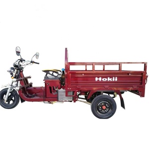 Nuevo 3 Ruedas Barato <span class=keywords><strong>125cc</strong></span> Trike Motocicleta 3 Ruedas Gasolina Motocicleta 3 Ruedas Motocicleta Adultos Triciclo - Product Image 4