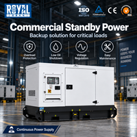 Générateur diesel silencieux refroidi par eau Royal économique 50 kVA ATS à démarrage automatique pour usage commercial