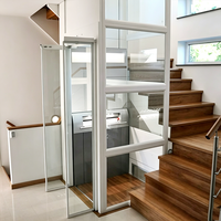 Ascensore Idraulico Senza Vano Omologato ISO per Casa, Elevatore Residenziale Professionale Compatto per Villa - Prezzo di Fabbrica