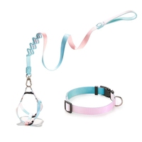 Ensemble de colliers pour animaux de compagnie en alliage et polyester de luxe personnalisés Laisse pour chien antidéflagrante avec motif d'impression de luxe Harns personnalisés