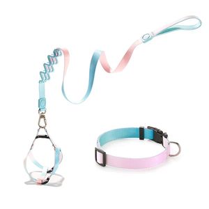 Set di collare per animali domestici in lega di lusso personalizzato e poliestere guinzaglio per cani a prova di esplosione con motivi di stampa di lusso - Product Image 1