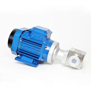 משאבת גלגלי שיניים חשמלית מחומר 316L הניתנת להתאמה אישית לעיבוד שבבי 1HP 220V 750W - ישירות מהיצרן - Product Image 2