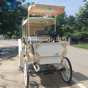 Transport à cheval à 4 roues pour les visites touristiques du parc Transport spécial pour les visites touristiques - Product Image 4