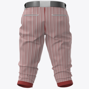 قميص بيسبول رجالي بنطلون جيرسي عالي الأداء بنطلون بيسبول وسوفتبول - Product Image 4