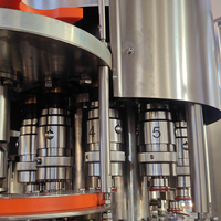 Machine monobloc de soufflage, de remplissage et de scellage pour bouteilles en plastique/PET |   Soufflage, rinçage, remplissage et bouchage intégrés
