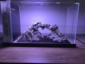 Aquascaping Rotsen Natuursteen Bonsai Drift Hout Voor <span class=keywords><strong>Aquarium</strong></span> <span class=keywords><strong>Aquarium</strong></span> Decoratie Paludarium - Product Image 3