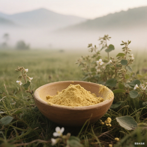 Bột chiết xuất Dâm dương hoắ<span class=keywords><strong>c</strong></span> Longsheng Nature Man Health 10% 20% Icariin, đóng gói chân không trong hộp nhự<span class=keywords><strong>a</strong></span> - Product Image 6