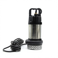 Pompe à eau submersible solaire en acier inoxydable 50 mm 2 pouces 500 W CC sans balais pour l'irrigation